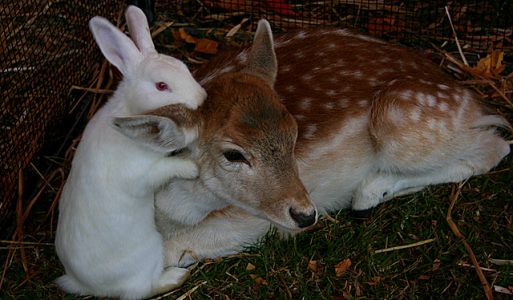 Kako izgledaju neki časovi…